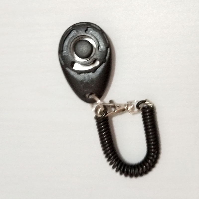 Training clicker